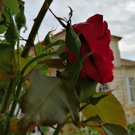 Готель Domaine Du Chauvet Sainte-Eulalie  Екстер'єр фото